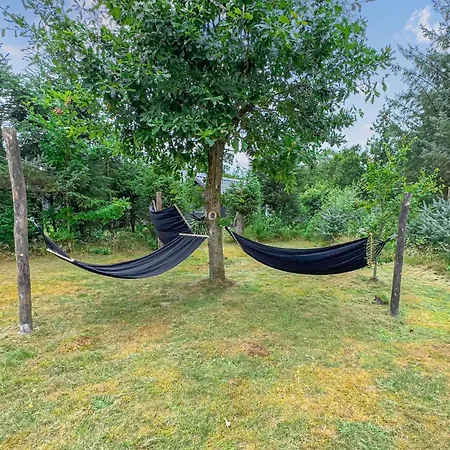 3 Bedroom Amazing In Holiday home *